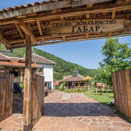 CusticaSeosko Domacinstvo „Gabar”别墅 外观 照片